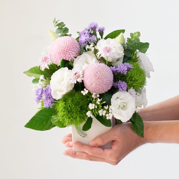 輕柔白雲溫柔紫桌花