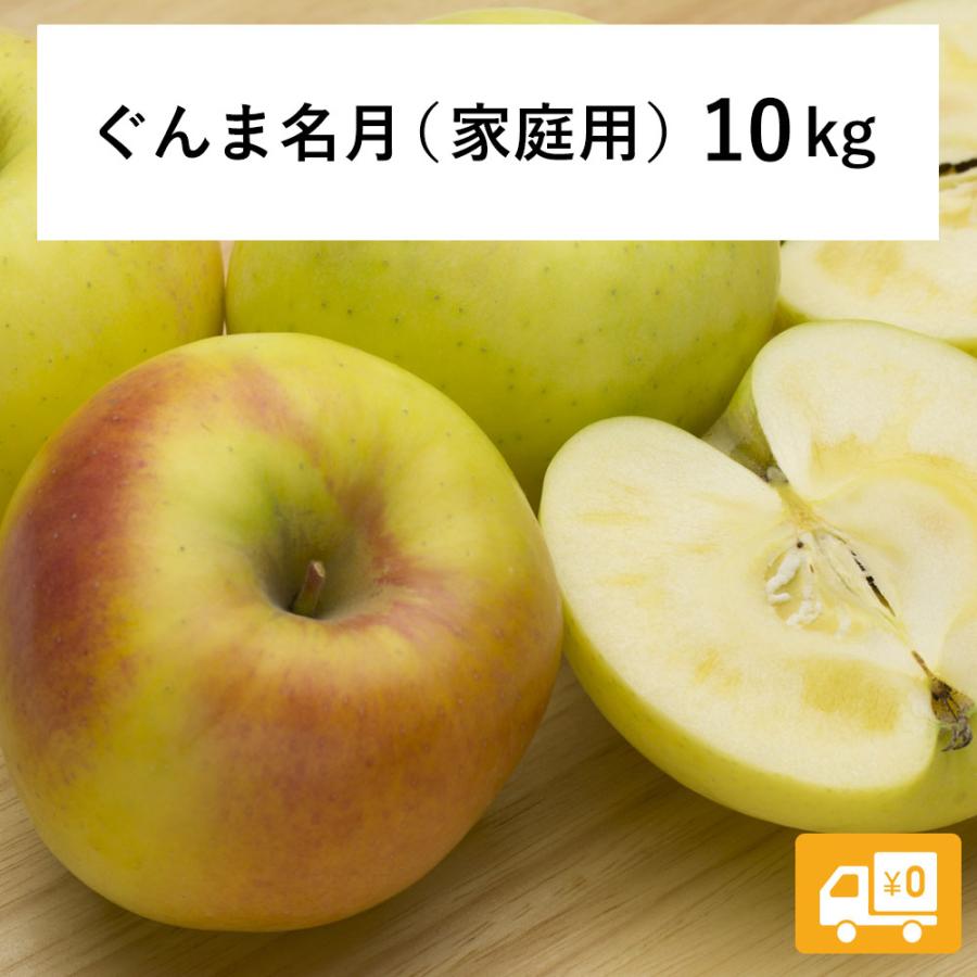 りんご ぐんま名月 10kg 予約発送 11月上旬以降順次発送 長野県 飯綱町産 訳あり 家庭用 信州 10キロ ギフト 林檎 リンゴ 果物