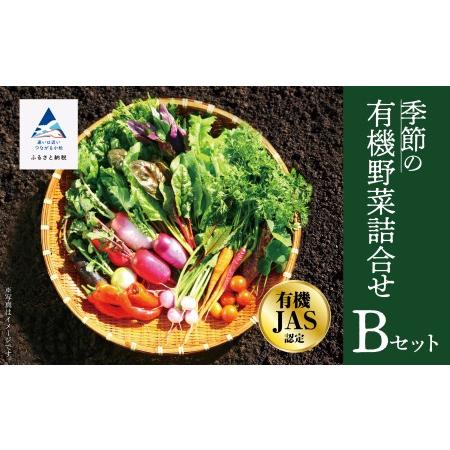 ふるさと納税 西田農園　季節の野菜詰合せ　Ｂセット 017002 石川県小松市