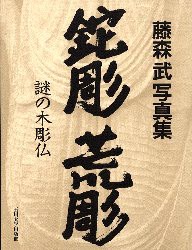 鉈彫荒彫　藤森武写真集　藤森武 著