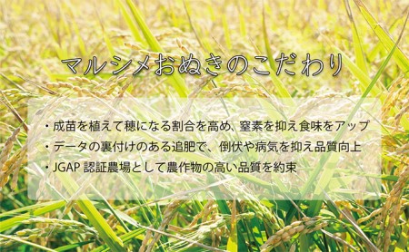 ◆ R5年産 定期便 3ヶ月 ◆JGAP認証5kg≪北海道伊達産≫