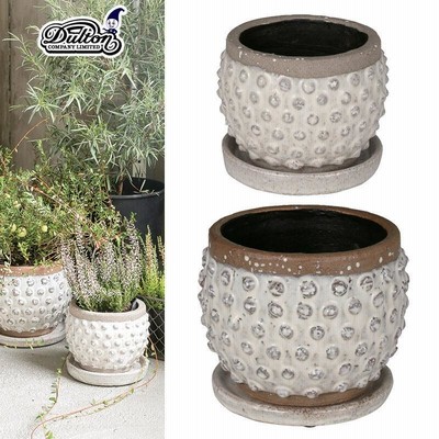 Terracotta bubble pot Sサイズ　亀甲竜　アガベに