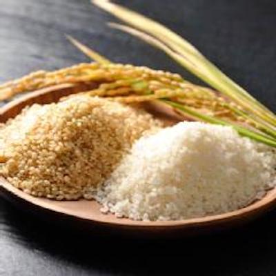 令和5年 新米 日本農業賞大賞 玄米 米 お米 コシヒカリ 30kg こしひかり
