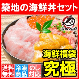 送料無料 海鮮福袋 築地の海鮮丼セット 究極 約3～4人前 本マグロ大トロ特盛り200g＆無添加生うに＆北海道産イクラ＆王様のネギトロ。通