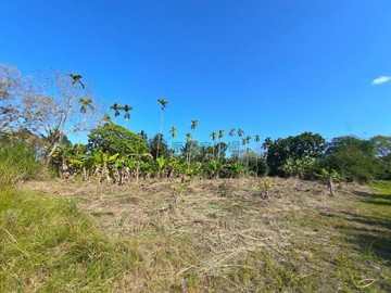 花蓮縣壽豐東華大學旁方正都內農地 5F1499｜花蓮縣壽豐鄉東華段