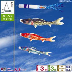 ベランダ用 こいのぼり 超撥水パールトーン採用 天華鯉 3m 6点セット 庭園 ベランダ 兼用 ガーデンベランダセット スタンド付属