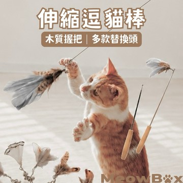 MEOWBOX. 木桿伸縮逗貓棒 送替換頭 台北現貨 逗貓棒替換頭 羽毛逗貓棒 貓咪玩具 逗貓桿 逗貓 貓玩具 逗貓玩具