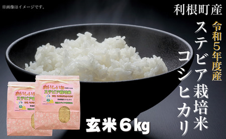利根町産ステビア栽培米（コシヒカリ　玄米）6kg