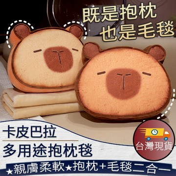 ❤️台灣現貨【卡皮巴拉多用途抱枕毯】水豚抱枕 卡通靠枕 午睡枕 毯子抱枕二合一 辦公室午休枕 可愛靠枕 客廳抱枕毯409