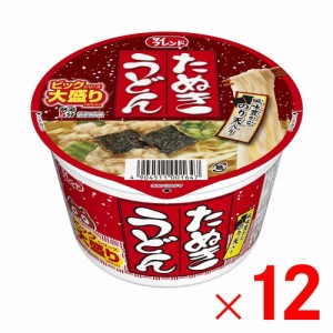 4箱まで1個口 マイフレンド ビック たぬきうどん 100g ×12個 ケース販売 [送料無料対象外]