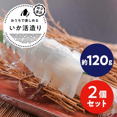 ふるさと納税 唐津市 呼子剣先いか活き造り　約120g×2パック