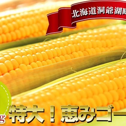 北海道産 とうもろこし 恵味 ゴールド 2L 20本 朝採り めぐみ イエロー トウモロコシ 玉蜀黍 スイートコーン とうきび 大きめ 甘い 新鮮 旬 夏 もぎたて 産地直送