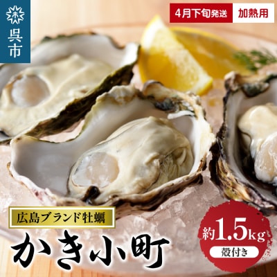 丸十水産 広島ブランド牡蠣 殻付き かき小町 約1.5kg  (8～10個