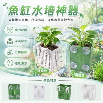 台灣出貨✨ 魚缸水培定植籃 水草固定種植籃 吸盤掛壁造景籃 水族箱養花裝飾