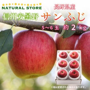 [予約 2023年12月1日-12月10日の納品] サンふじ 5-7玉 大玉 約2kg りんご 長野県産 安曇野 冬ギフト お歳暮 御歳暮