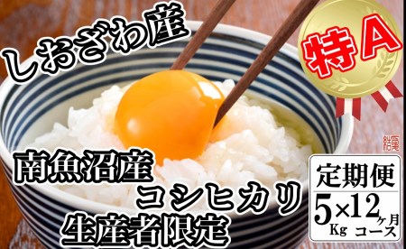 生産者限定 契約栽培 南魚沼しおざわ産コシヒカリ