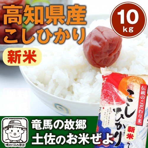 令和5年産新米 　高知県産コシヒカリ 10kg(5キロ×2)　※北海道、沖縄及び離島は別途発送料金が発生