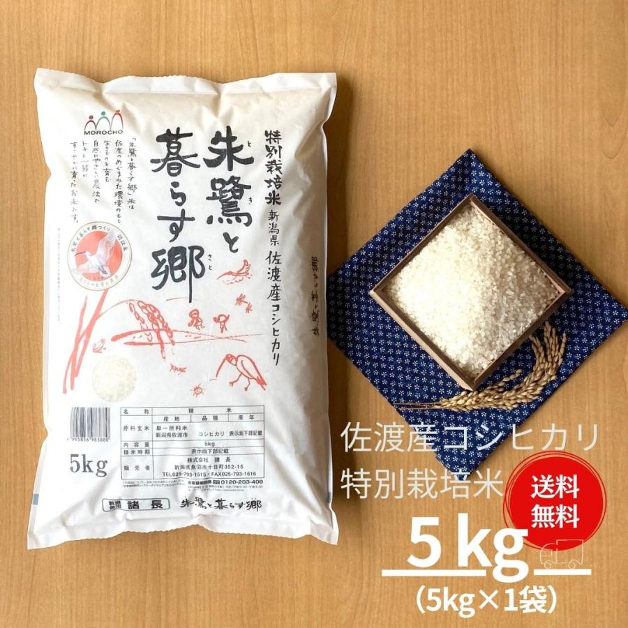 新米 米 お米 5kg コシヒカリ こしひかり 佐渡産 特別栽培米 5kg 本州送料無料 令和5年産