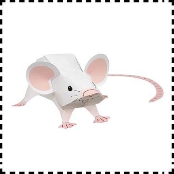 【🌸免運｜當日出貨✈️隔日到🌸】紙紮寵物 小白鼠（化給親人與寵物皆可用）寵物金紙 紙紮鼠 紙紮屋 元寶 庫錢 蓮花