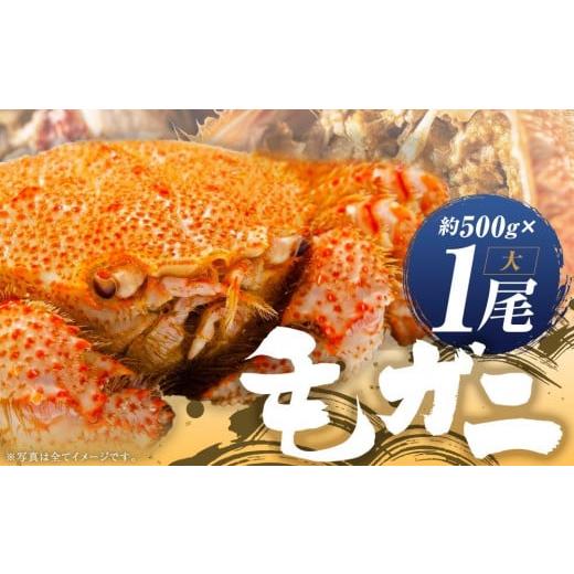 ふるさと納税 北海道 様似町 ミソたっぷり身がぎっしり詰まった毛ガニ(大)約500g×１尾