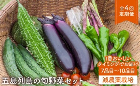 五島列島の旬野菜セット7?10品目 おまかせ おたのしみ 詰め合わせ 五島市 五島のやぁしゃ便 [PBG002]