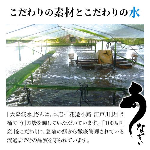 送料無料 鰻専門店 花遊小路 江戸川真空蒲焼 松 2枚セット 280g 鰻 うなぎ 蒲焼 老舗 京都 江戸焼鰻 お取り寄せグルメ 産地直送 やげん堀 (産直)