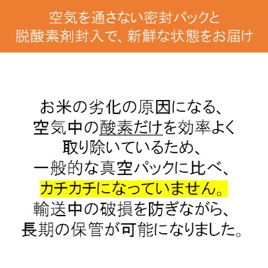 新米 令和5年産 長野県北信産 特別栽培米 コシヒカリ ぶなの水 5kg