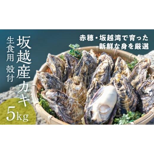 ふるさと納税 兵庫県 赤穂市 メディアでも話題の生食用カキ！赤穂・坂越湾で育った新鮮な身を厳選(坂越産カキ 生食用 殻付5kg)