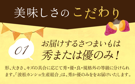 あわら市波松産 紅はるか３kg   厳選 不揃い さつまいも 土付き 熟成 焼き芋 福井県 薩摩芋 密芋 スイートポテト しっとり ほっくり 自然のスイーツ 極甘 農研機構許諾済 メディアで人気 腸活