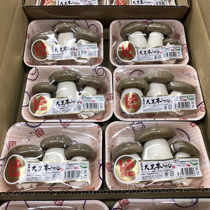 京都府産　京丹波　大黒本しめじ　秀品　約100gパック