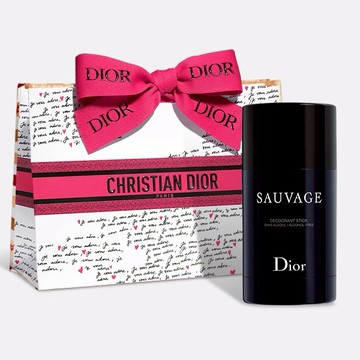 【DIOR】曠野之心體香膏 [快速出貨]