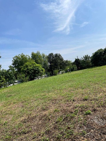 急售❗急售【出價來談❗急售】☘️湳西8米路農地☘️｜台南市楠西區興北