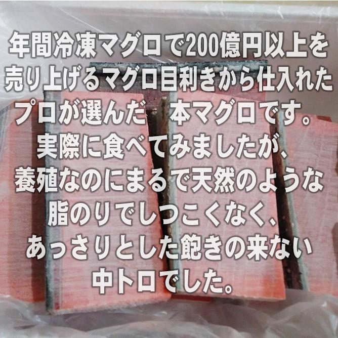 ＼対象商品2個購入で500円引／極上 本マグロ 中トロ 柵 皮付き 約500g 送料無料 鮪 まぐろ 冷凍 刺身 おすすめ