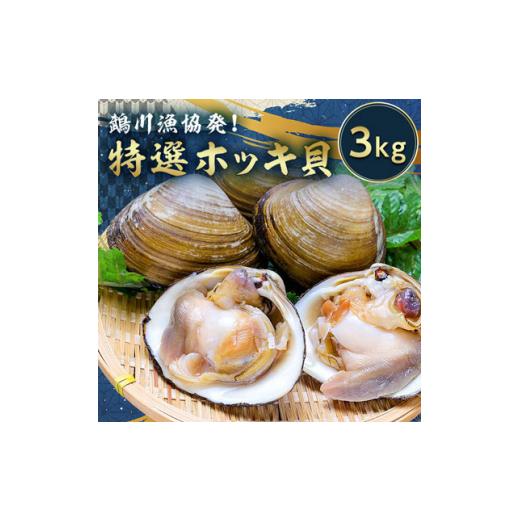 ふるさと納税 北海道 むかわ町 鵡川漁協発!特選ホッキ貝(3kg)