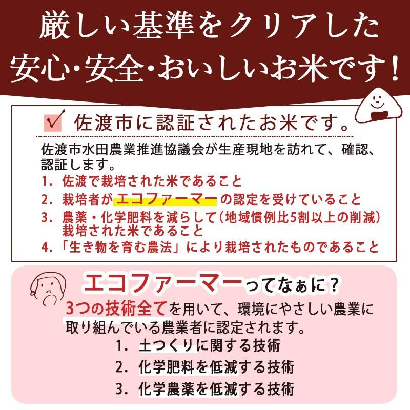 お米 米10kg 送料無料 佐渡産コシヒカリ 10kg(5kg×2) 特別栽培米 朱鷺と暮らす郷 新潟米