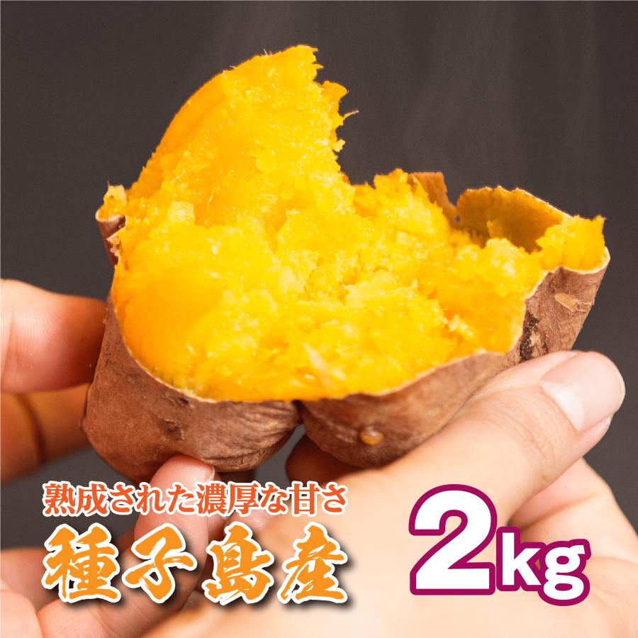 絶品】種子島産 安納芋M 18kg - 食品