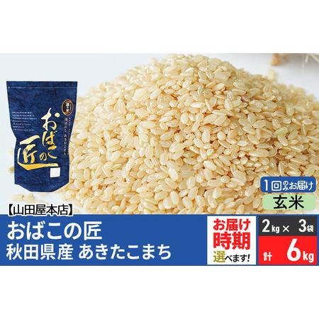 ふるさと納税 令和5年産 おばこの匠 秋田県産あきたこまち 6kg（2kg×3袋）秋田こまち お米 配送時期選べる 秋田県美郷町