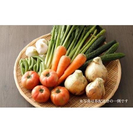 ふるさと納税 旬を感じるお野菜 定期便 年4回 季節 野菜セット 福岡県嘉麻市