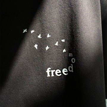 S~XLFREEDOM 翱翔的鴿 文青系純棉 短T 情侶T【Y1077】MIT 情侶裝 短袖T恤 台灣製造 快速出貨