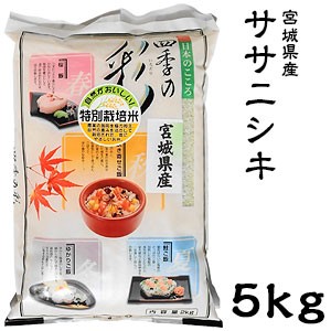 米 日本米 令和4年度産 宮城県産 ササニシキ 5kg