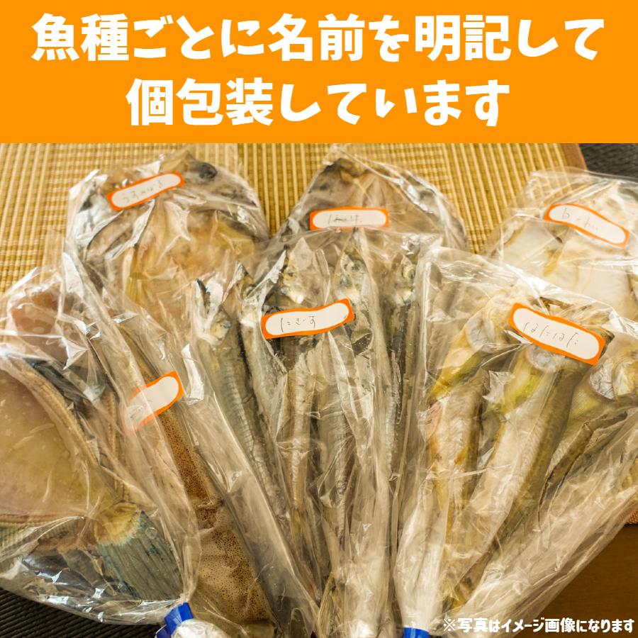 干物 ＆ 蒲鉾 セット 冷蔵 富山 父の日 ギフト 贈答品 お土産 魚の干物 かまぼこ 焼き魚