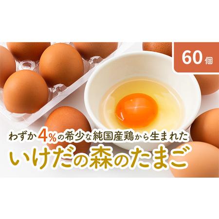 ふるさと納税 卵 わずか4%の希少な純国産鶏 いけだの森たまご 60個 こだわり おこめのたまご 玉子 鶏卵 生卵 産地直送 冷蔵配送 TKG 卵かけご飯 .. 岐阜県池田町