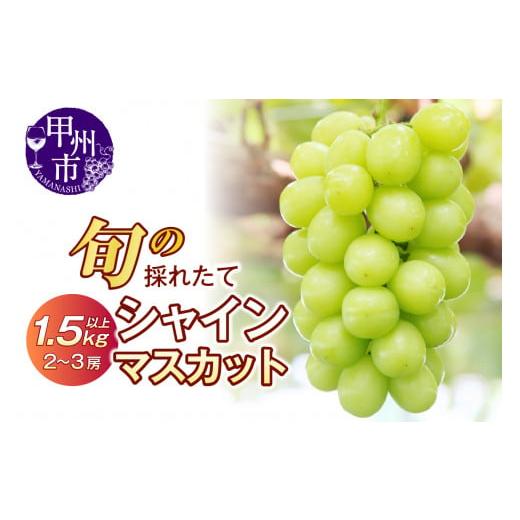 ふるさと納税 山梨県 甲州市 旬の採れたてシャインマスカット1.5kg以上（2房〜3房）（HO）B13-150