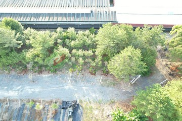 埔里信義路生活圈 ∣ 都計內小農地B｜南投縣埔里鎮竹圍段