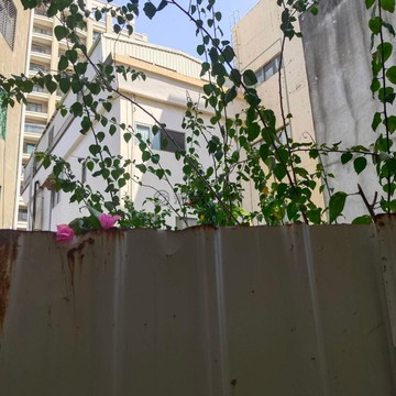 大遠百超值商二建地｜新竹市新竹市南門段四小段