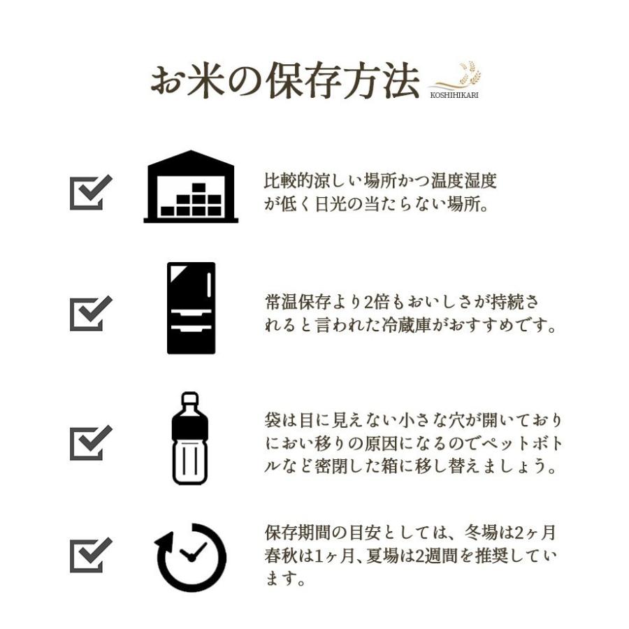 お米 10kg 白米 送料無料 新米 令和5年産 新潟県産コシヒカリ 産地直送 米 国産 国内産 10キロ ブランド米 ギフト お中元 父の日 母の日 敬老の日