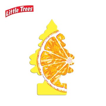 LITTLE TREES 小樹系列 沁橘