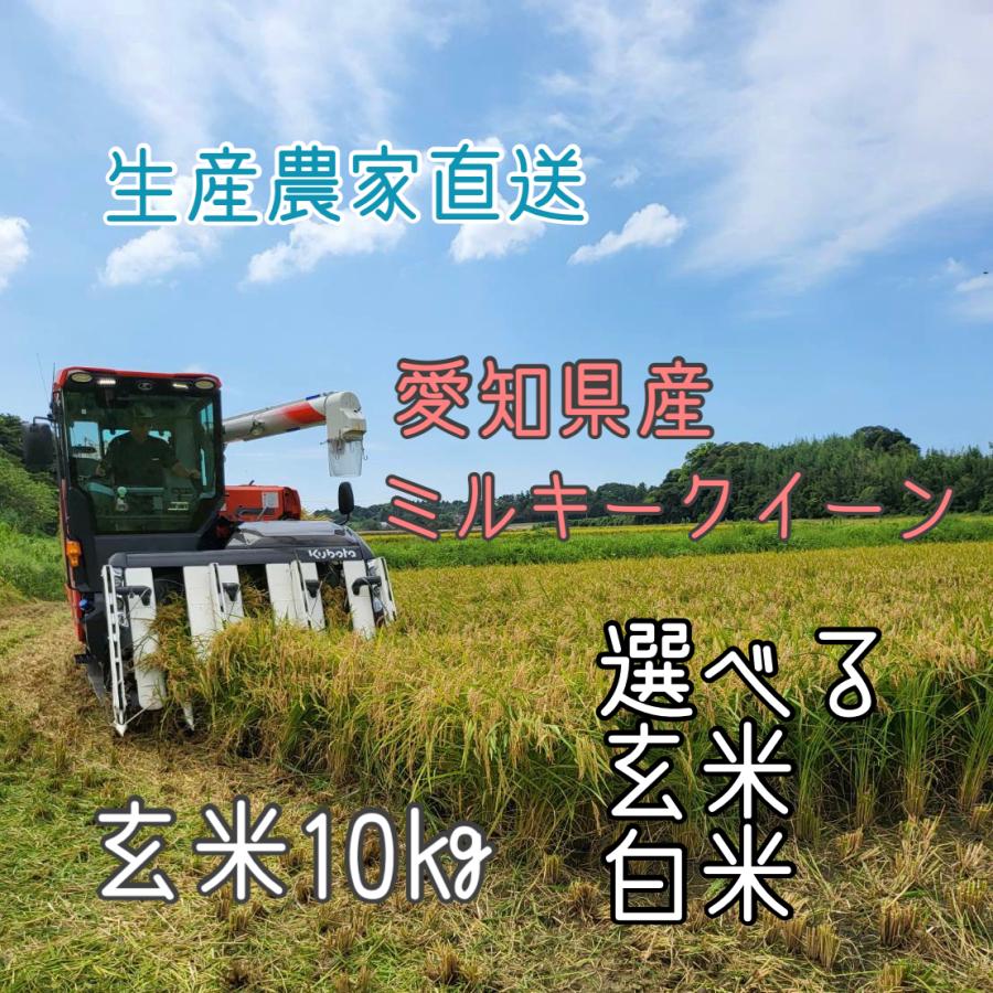 令和5年産　愛知県産ミルキークイーン　玄米　10kg　選べる　玄米　白米　生産農家直送