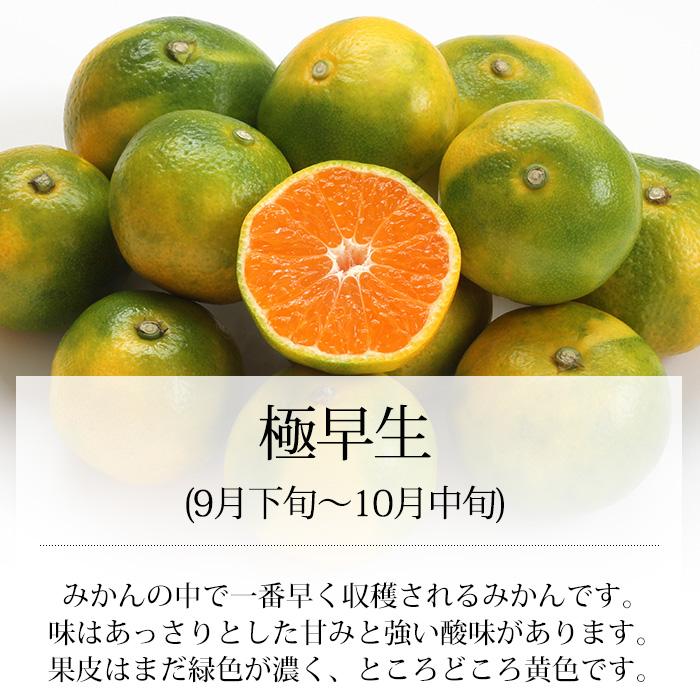 みかん 福岡県みやま市 大黒園早生みかん 秀品 約3kg S〜Mサイズ 30〜36個