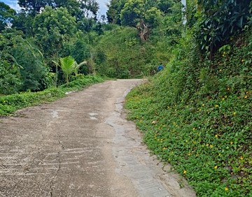 露峰區山莊一期渡假農地｜台中市霧峰區霧峰段坑口小段